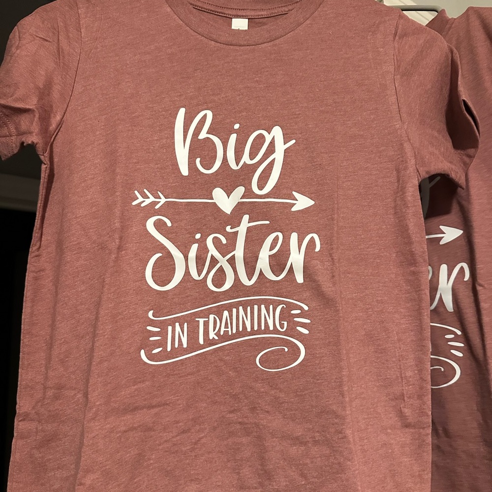 Bella Canvas Kids 'Big Sister in Training' Long Sleeve Tee - Mauve (bundle 2)